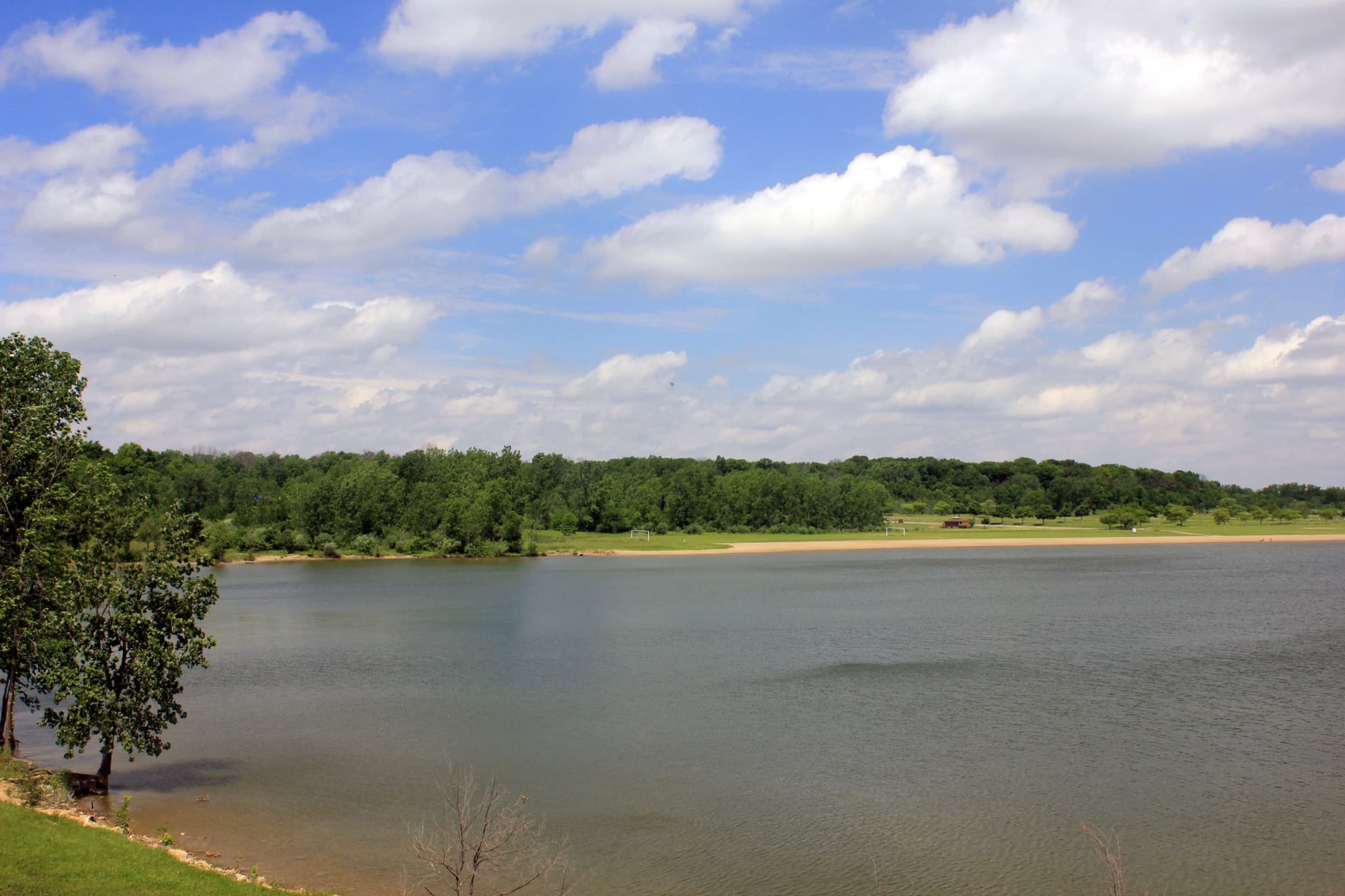 Alum Creek Lake on a sunny day with tree-lined shoreline and the sandy beach visible across the water