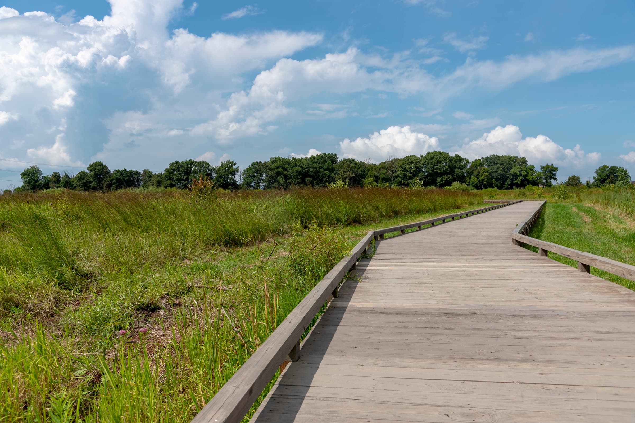 Wooden boardwalk crossing restored prairie at Glacier Ridge Metro Park near Plain City, Ohio