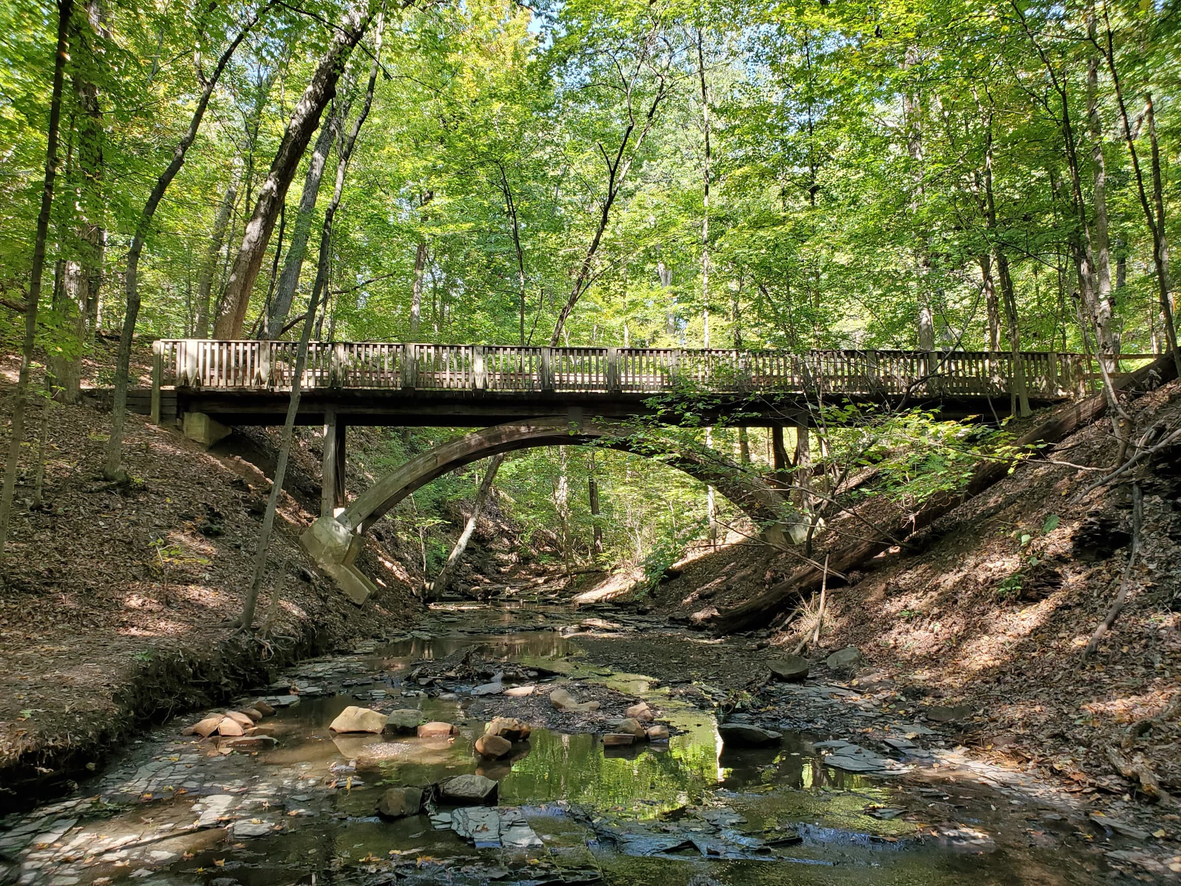 A wooden-railed arch footbridge carrying the Dripping Rock Trail over a leafy ravine at Highbanks Metro Park